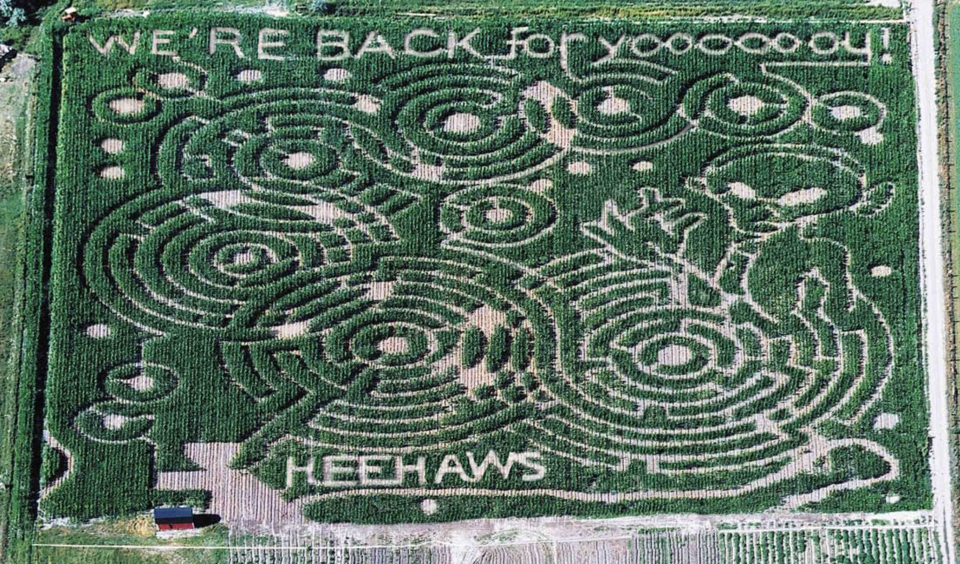 2002 - Plesant Grove - Aliens And Crop Circles