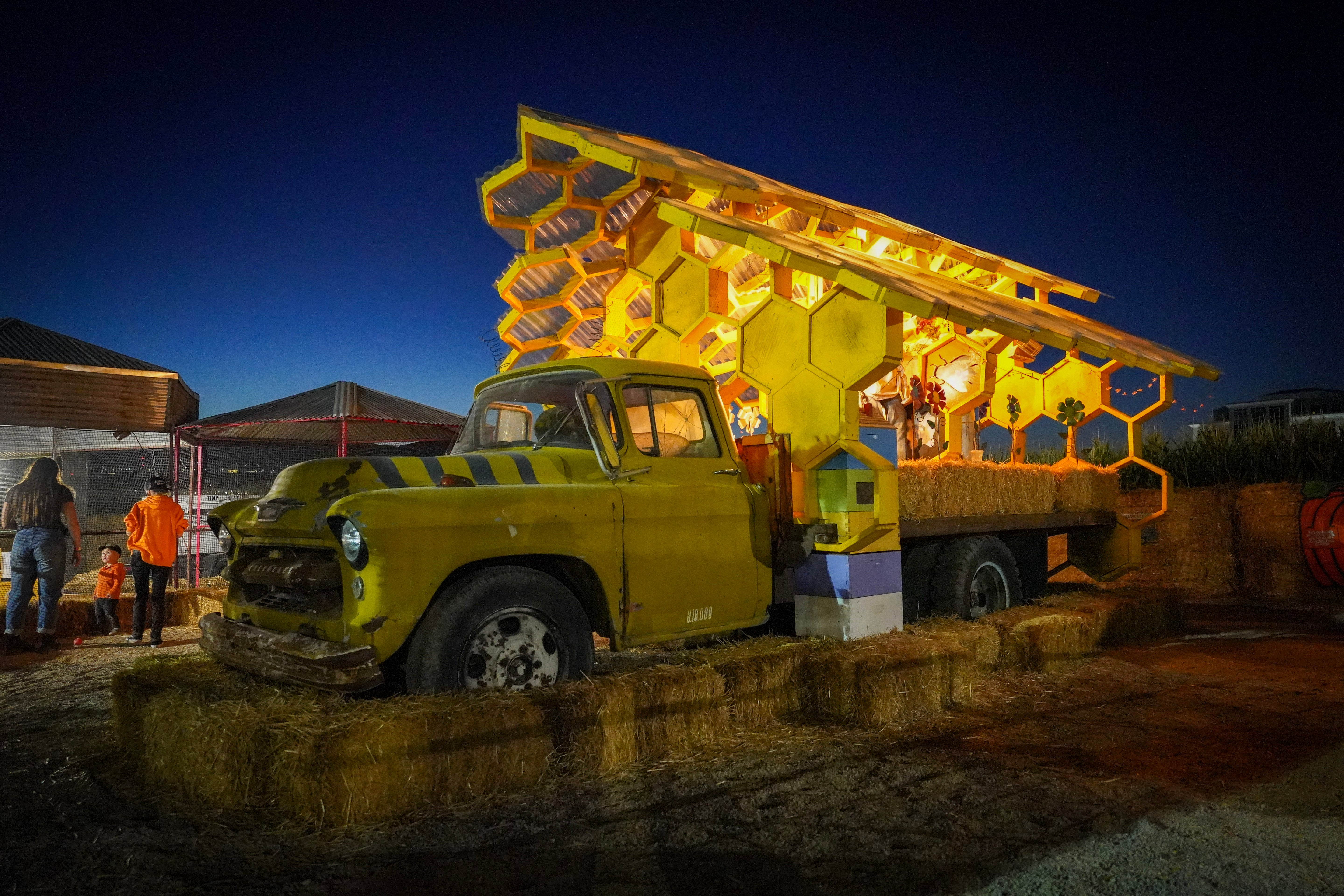 Animal Town