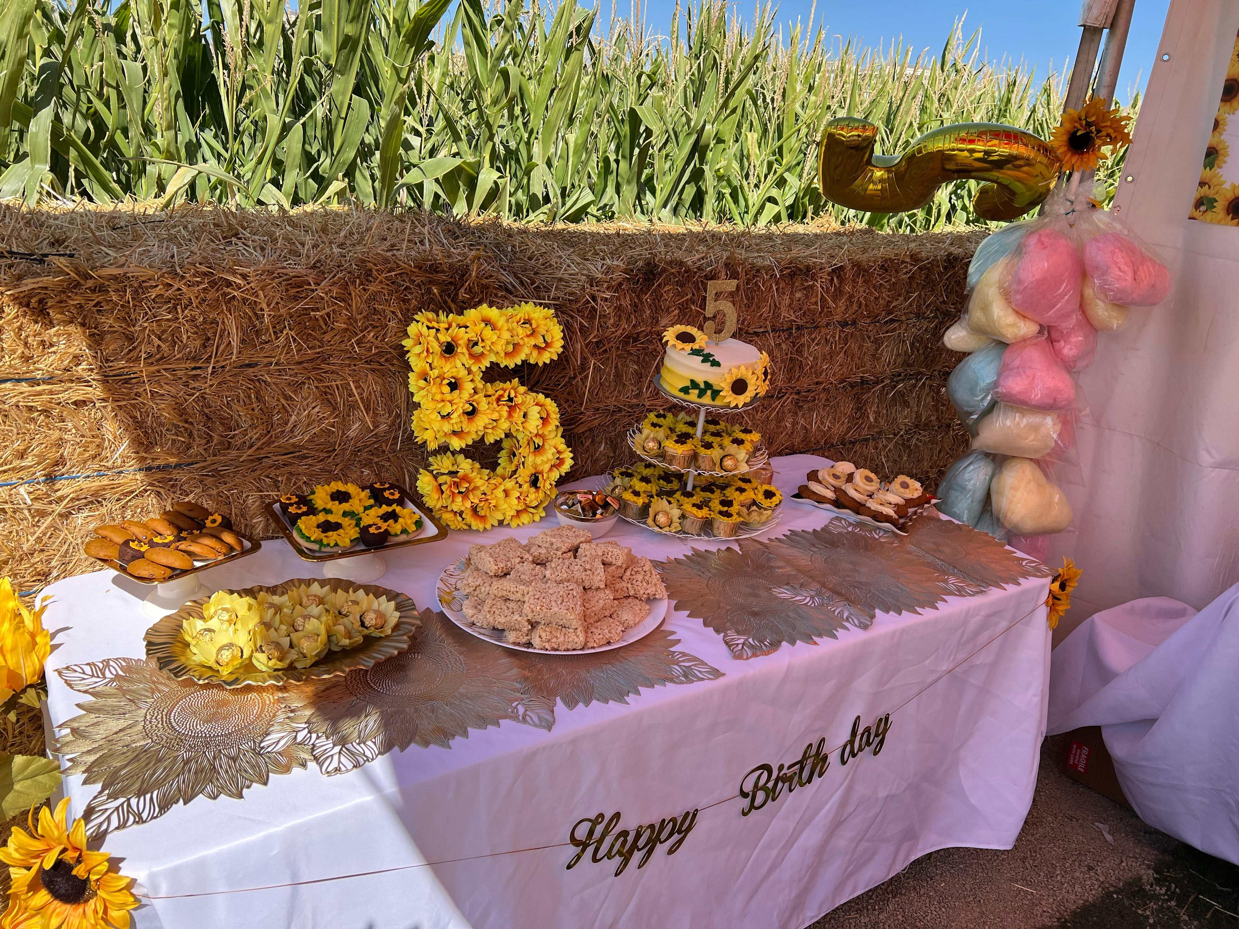 2025 Spanish Fork Party Tent Reservations