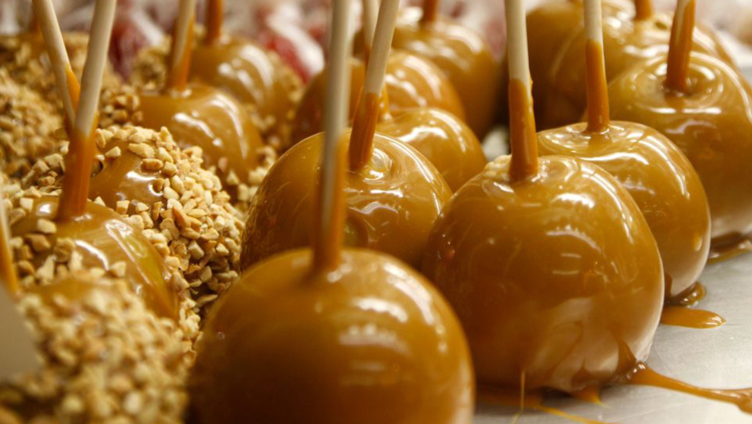 2026 Season Pass - Holiday Sale