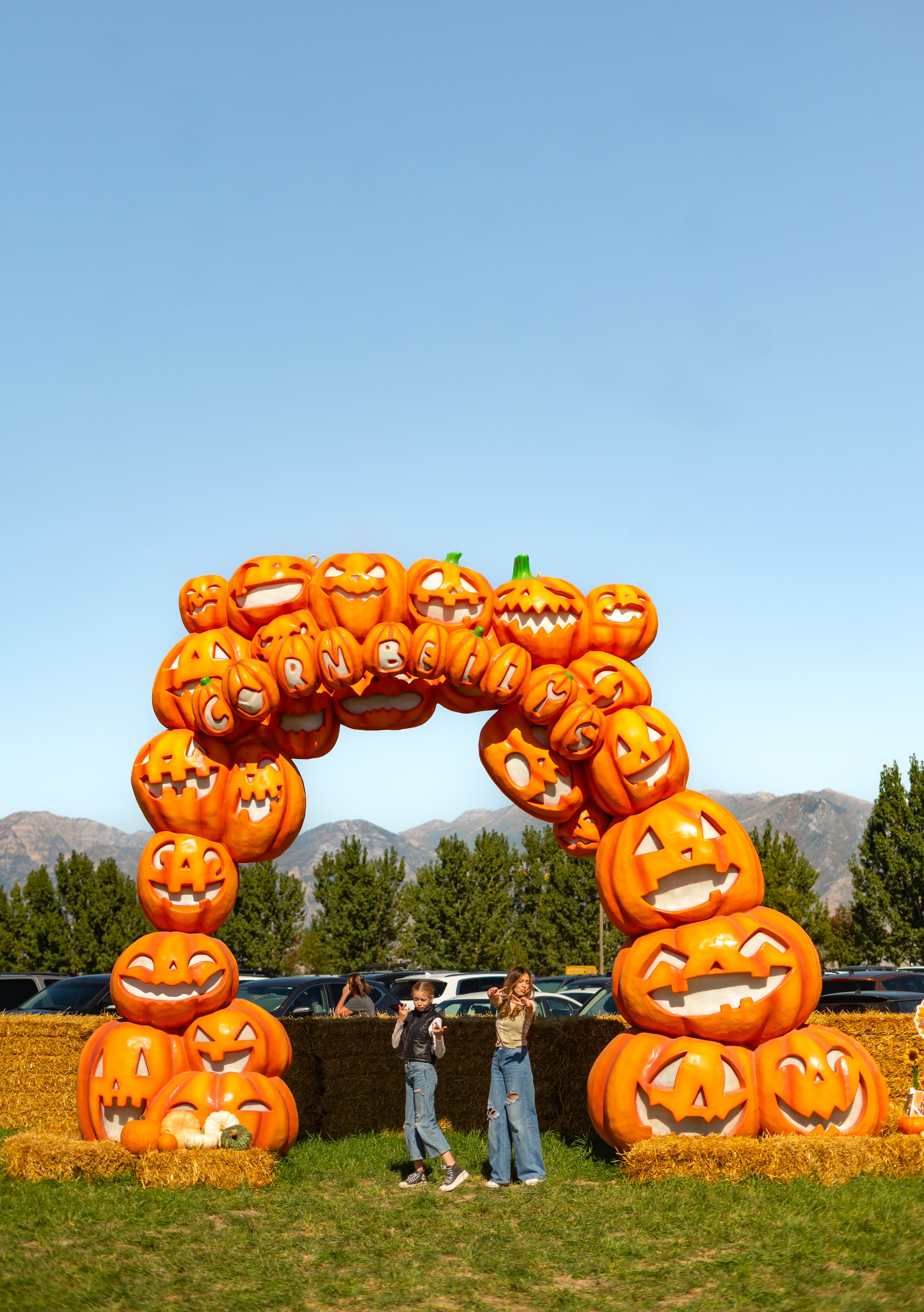 Pumpkin Wonders