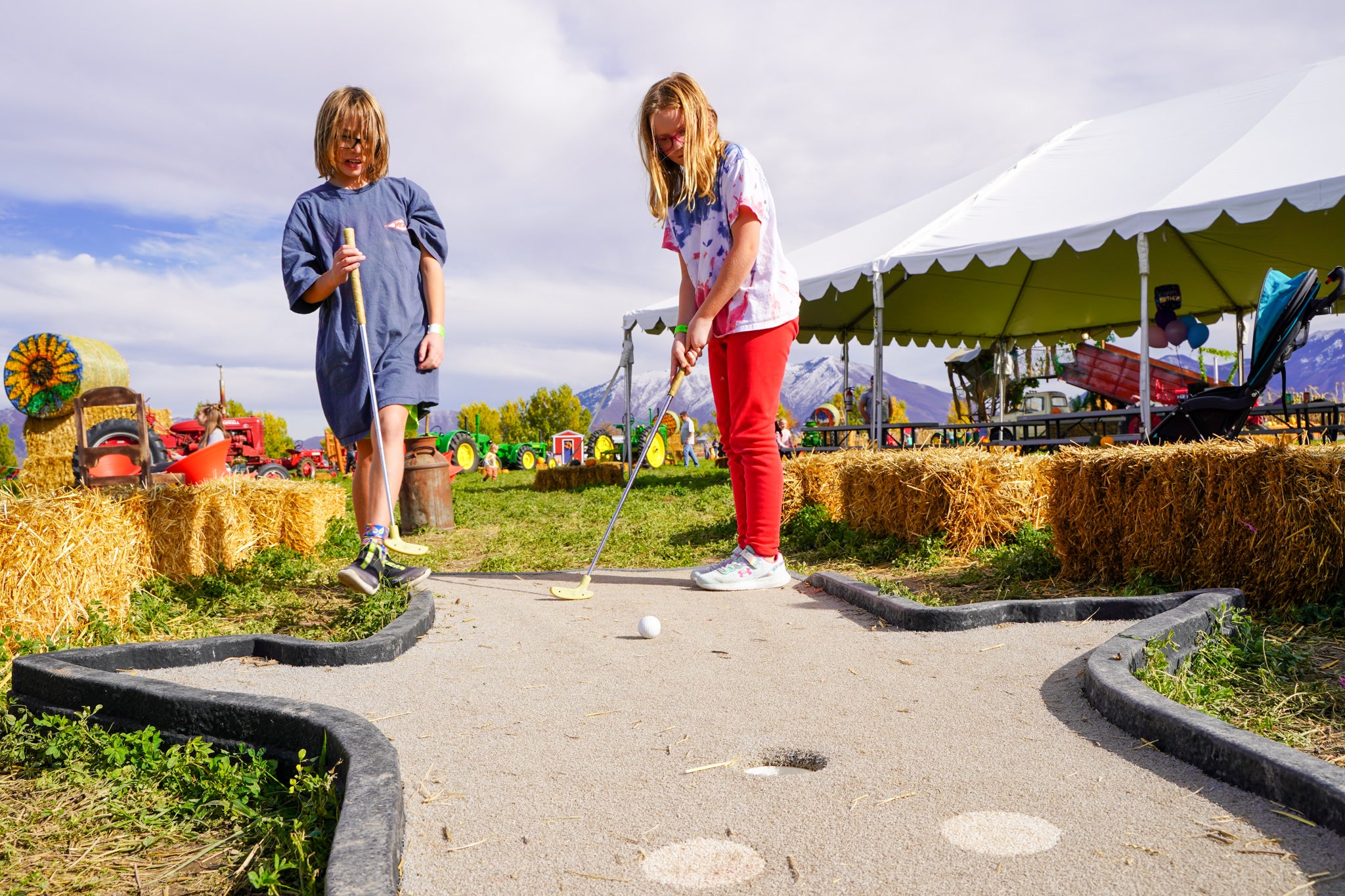 Mini Farm Golf