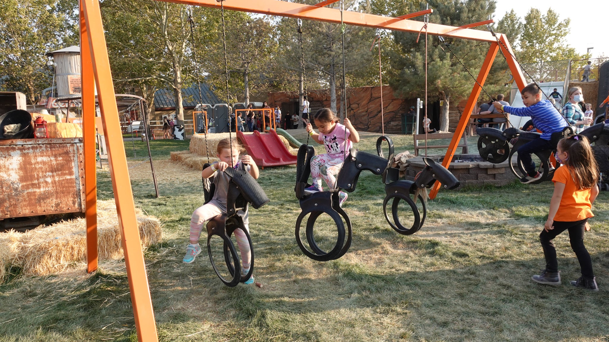 Tire Swings