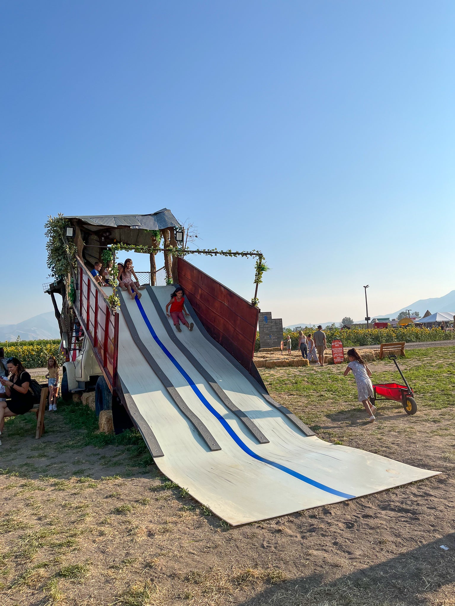Jungle Slide