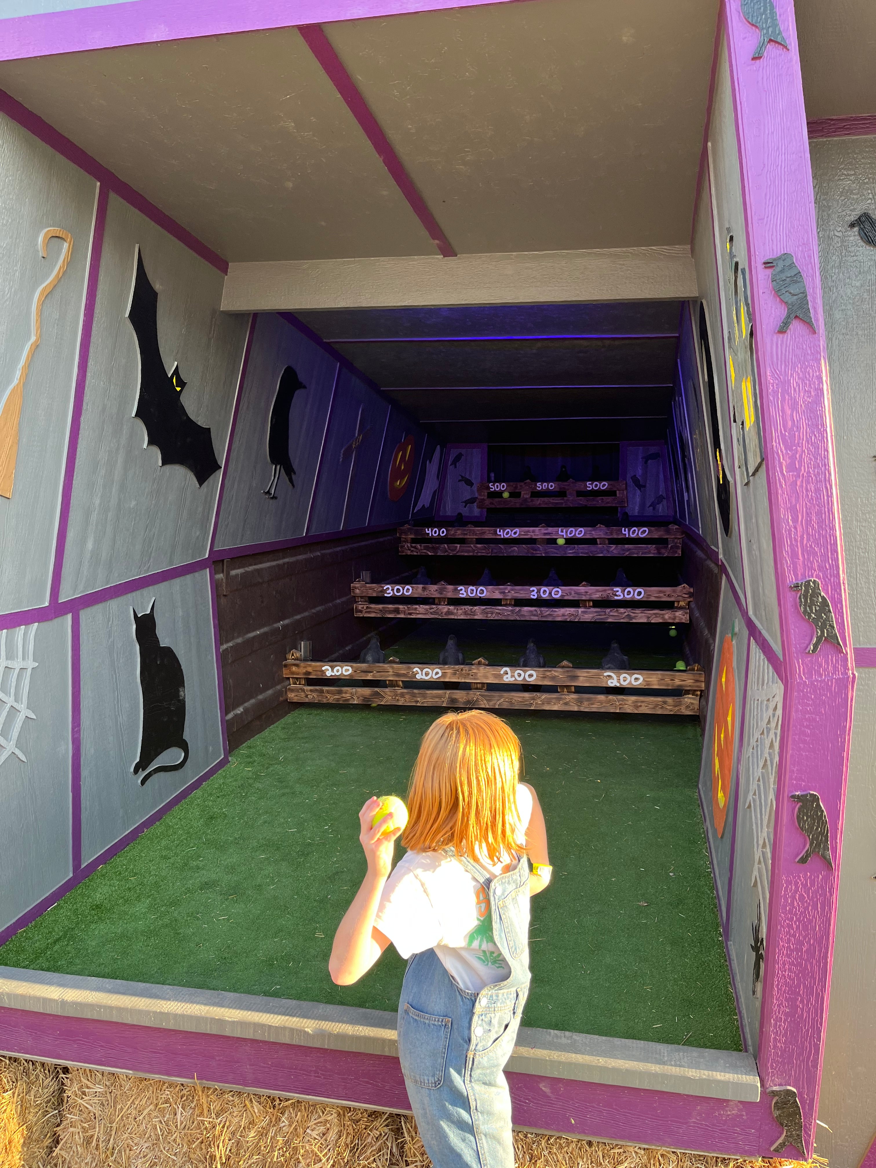 Clunk The Crow Truck Game