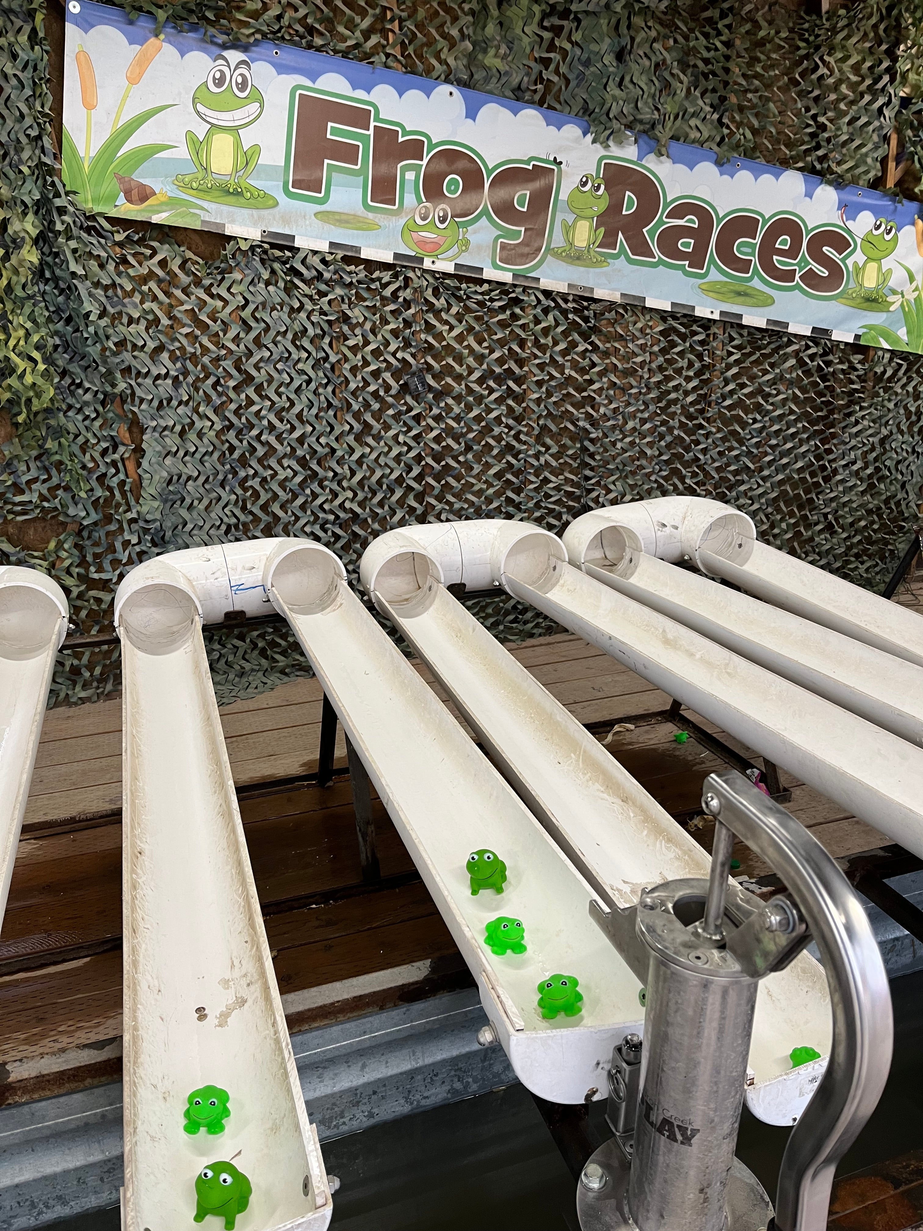 Frog Racers