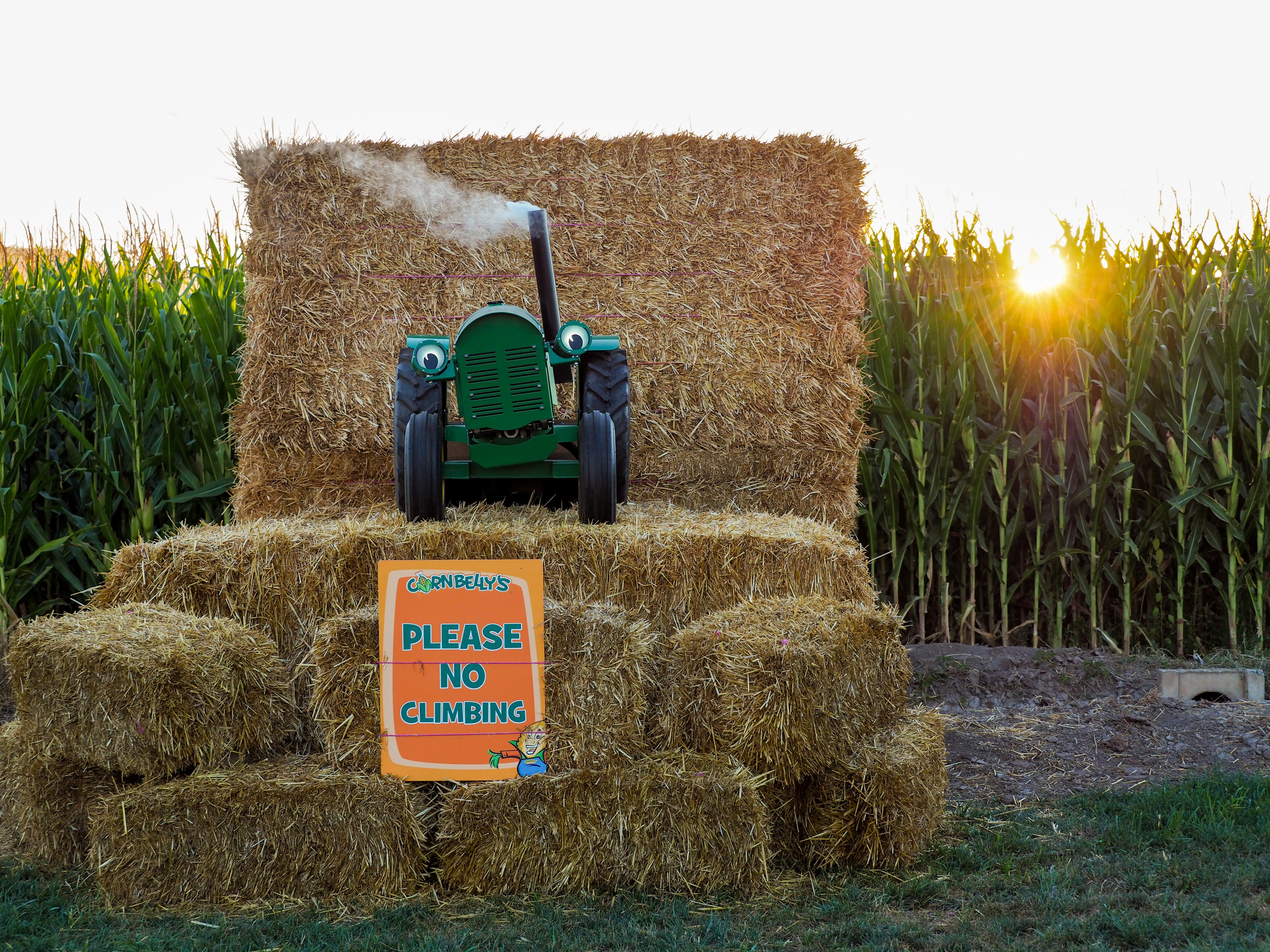 Tug the Talking Tractor