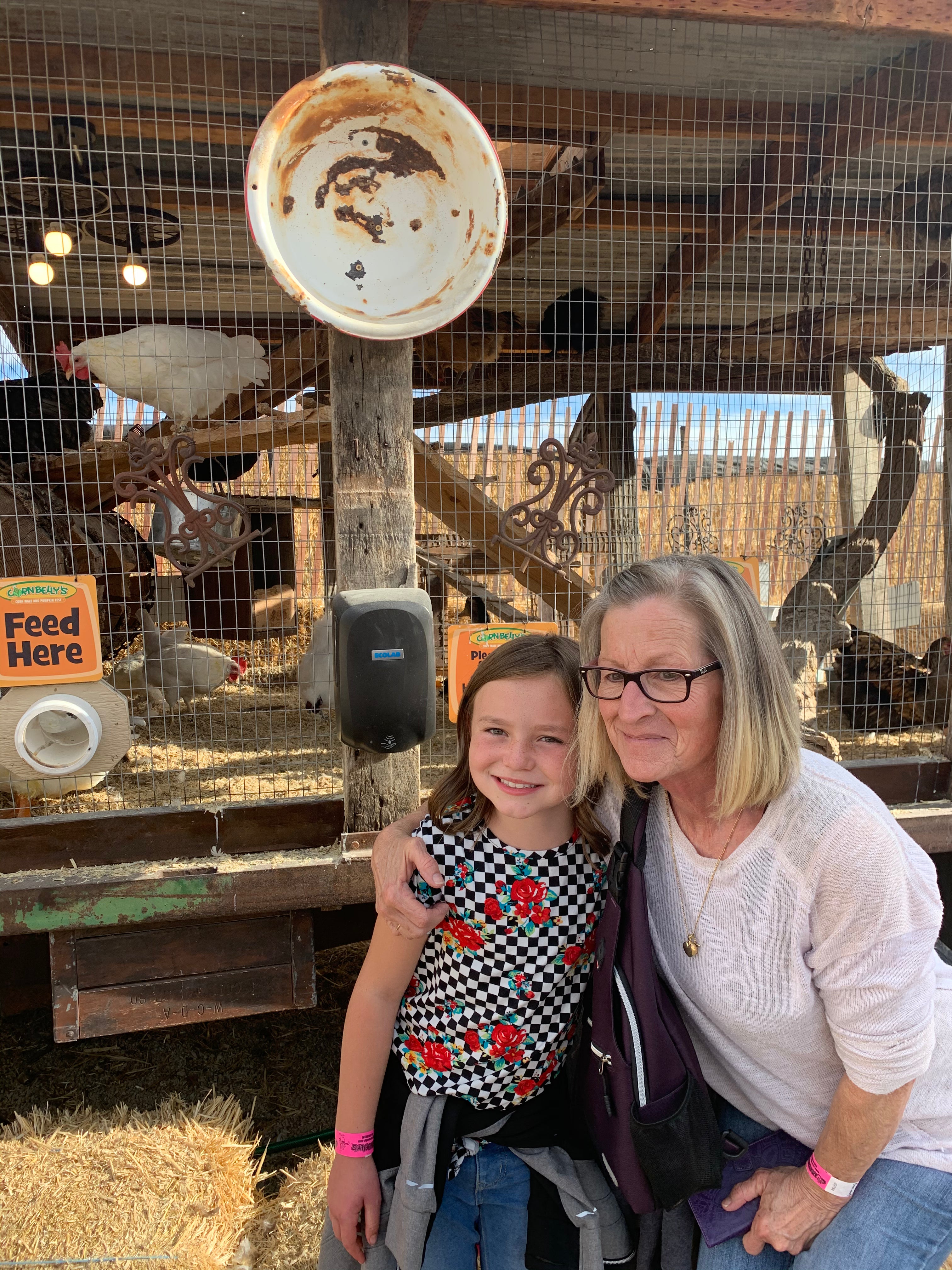 Animal Town