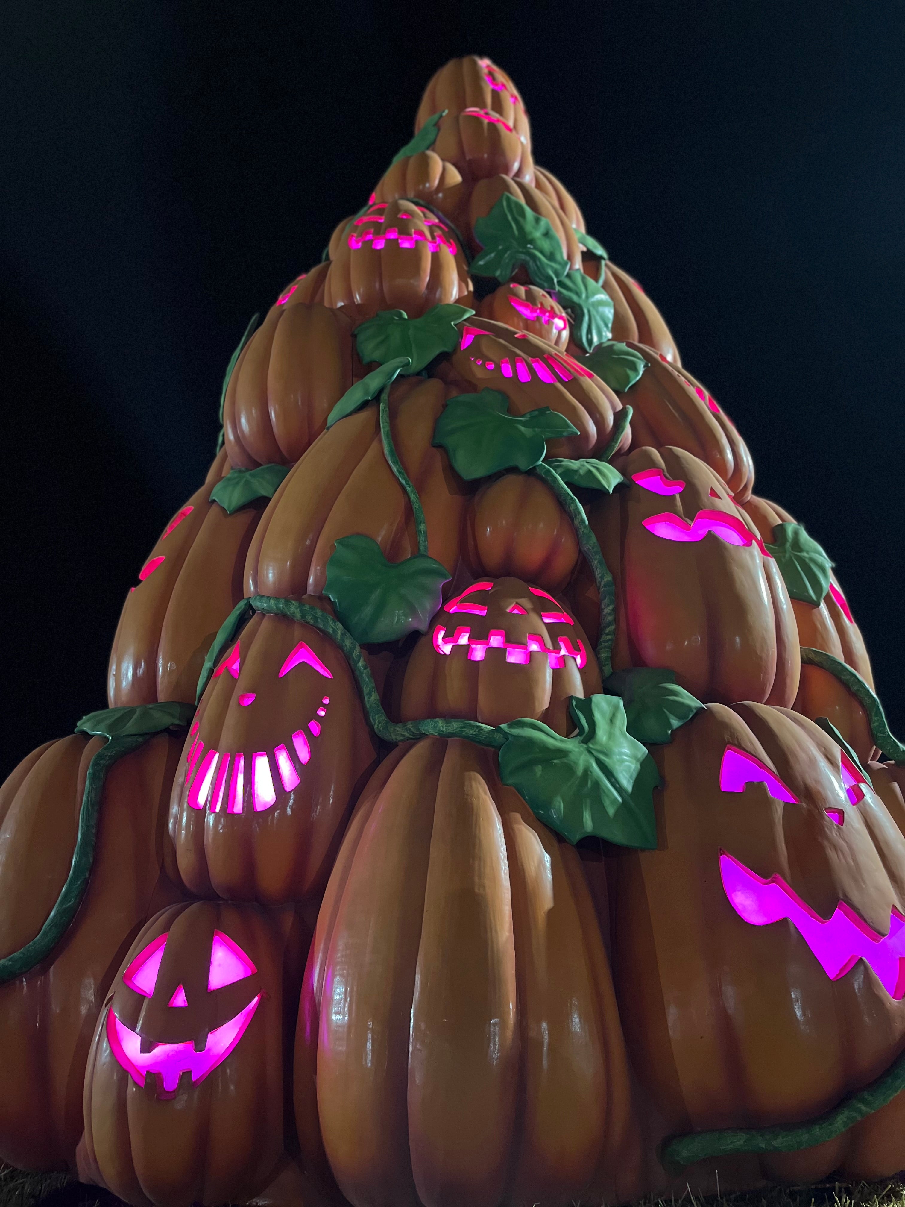 Pumpkin Wonders