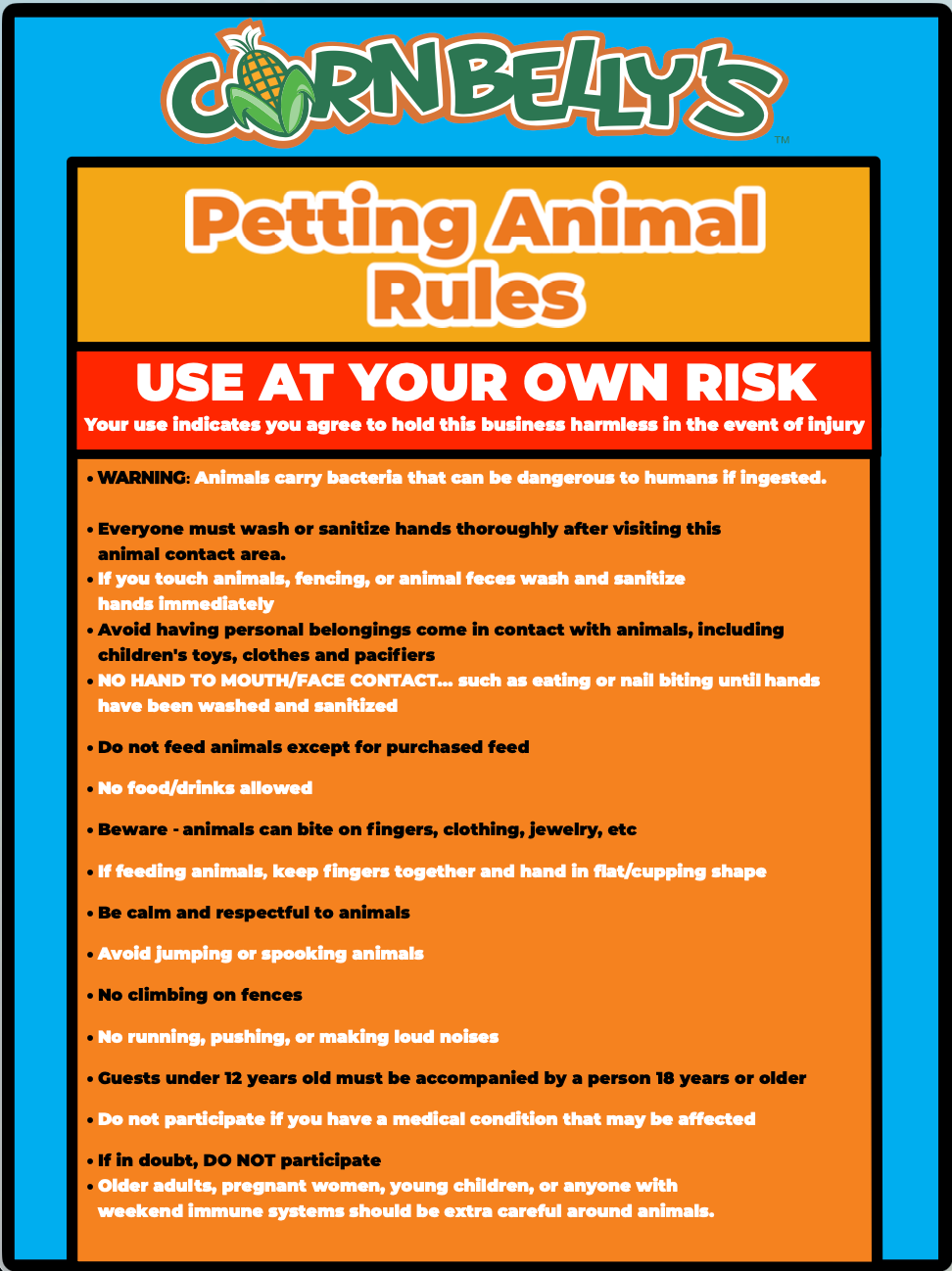 Animal Town