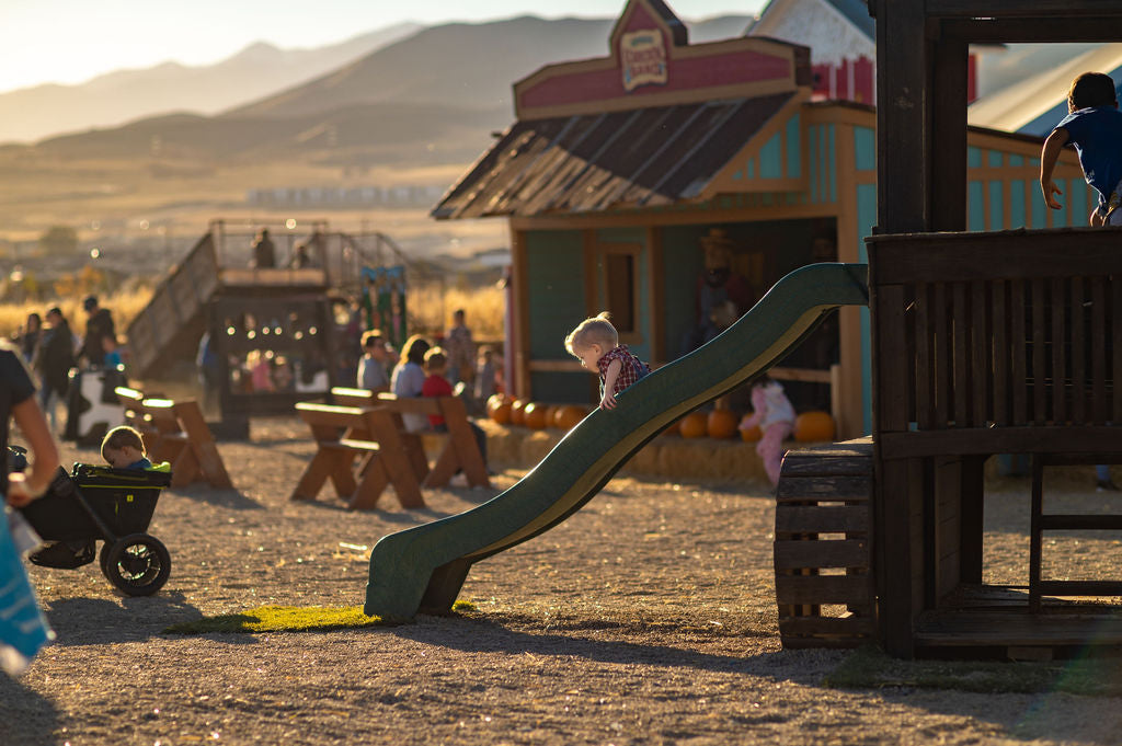 Play Structures