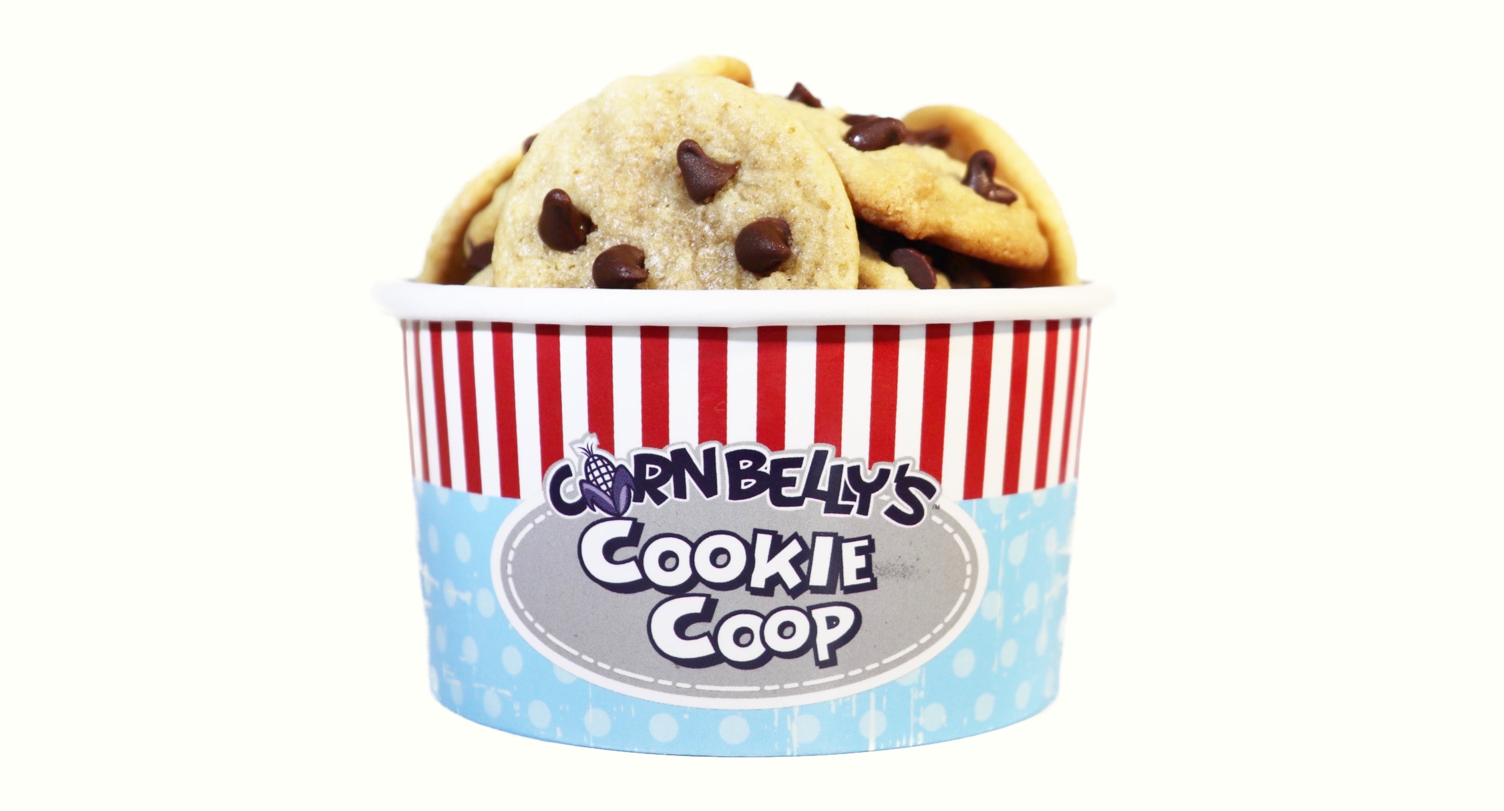 Cup of Chocolate Chip