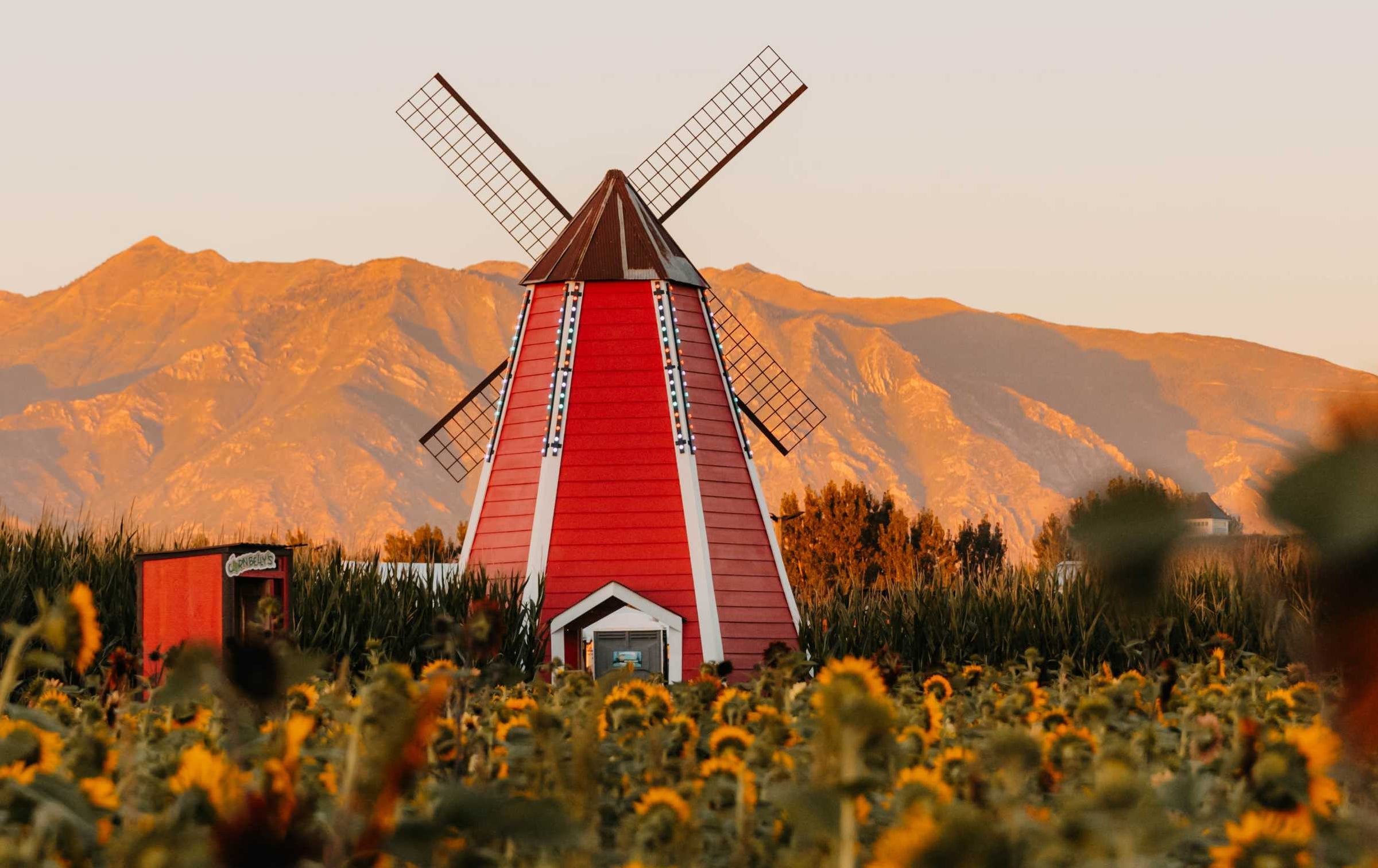 Spanish Fork Admission