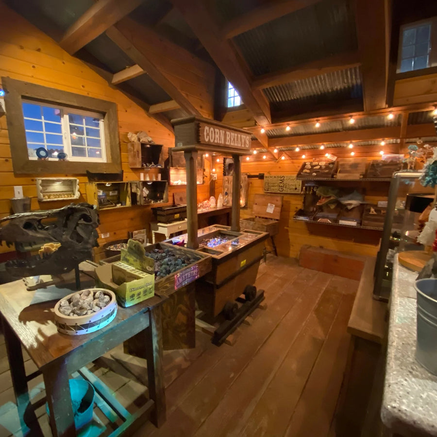 Our Gemstone Store is a rock-lover's paradise, selling everything from gemstone bags you can mine yourself at our water sluice, to polished rocks, geodes and much more.