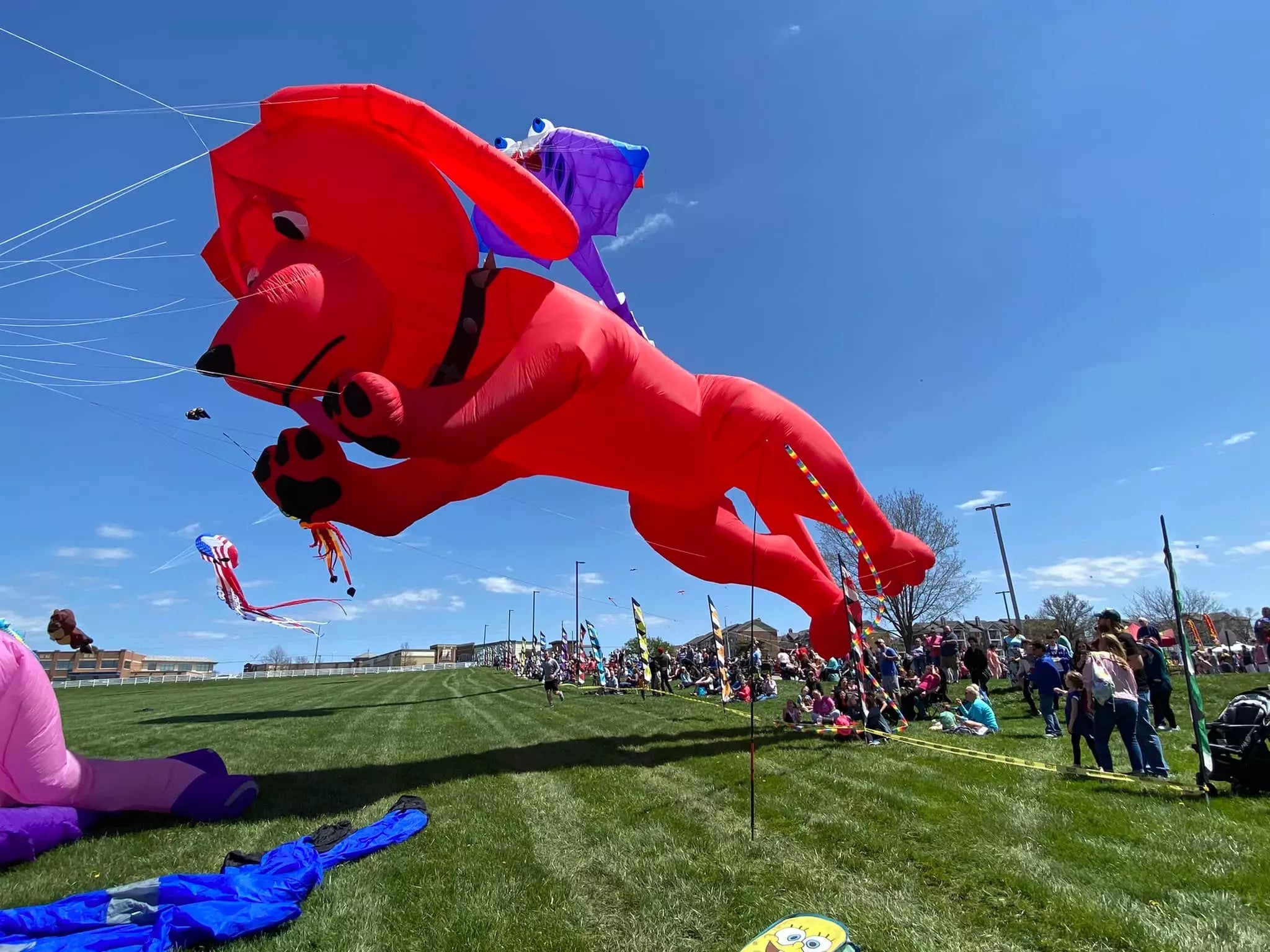 Great American Kite Festival