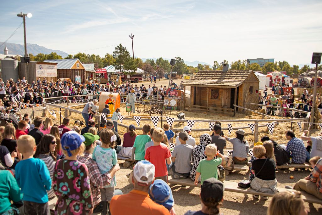 Pig Races