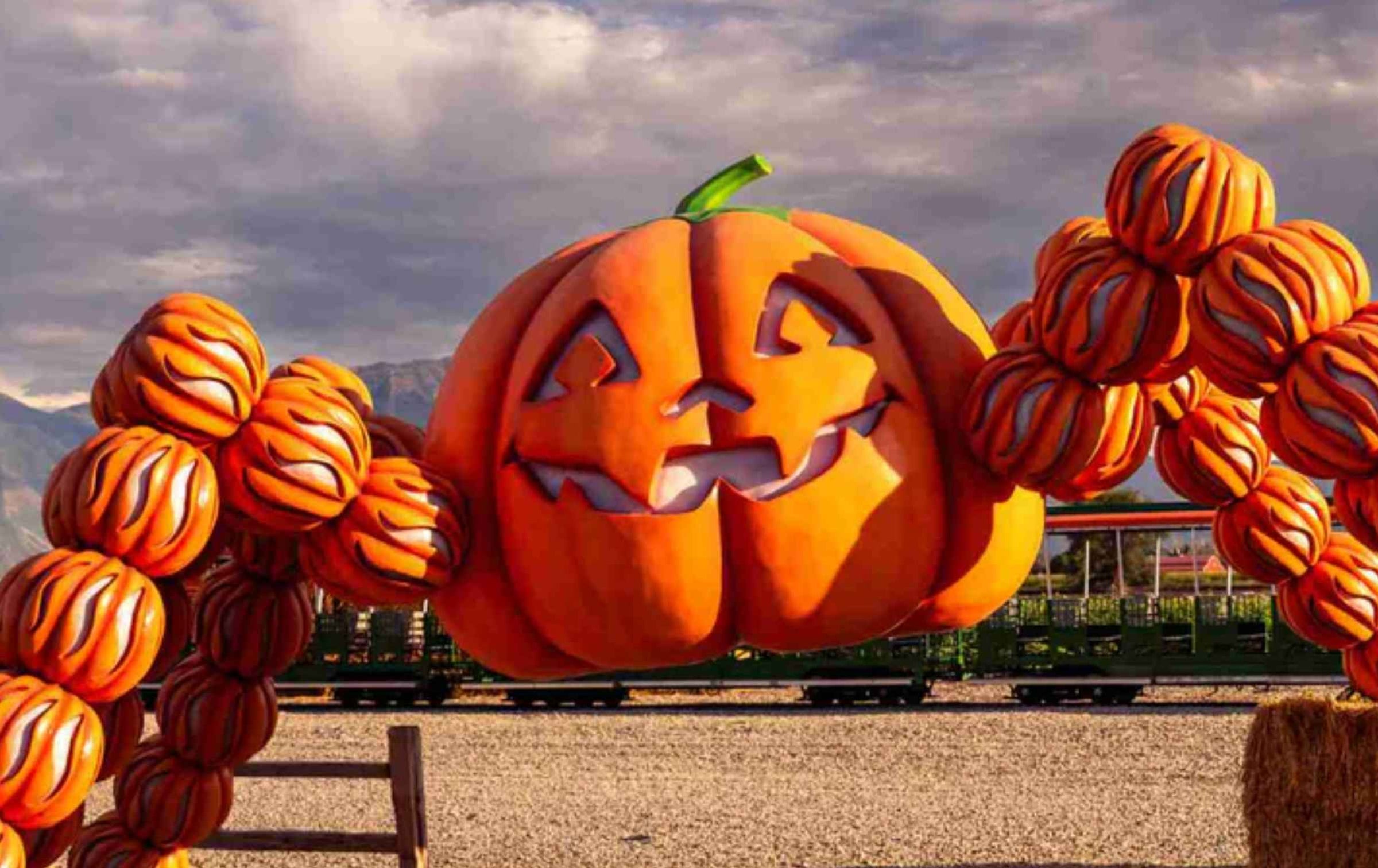 Spanish Fork Admission