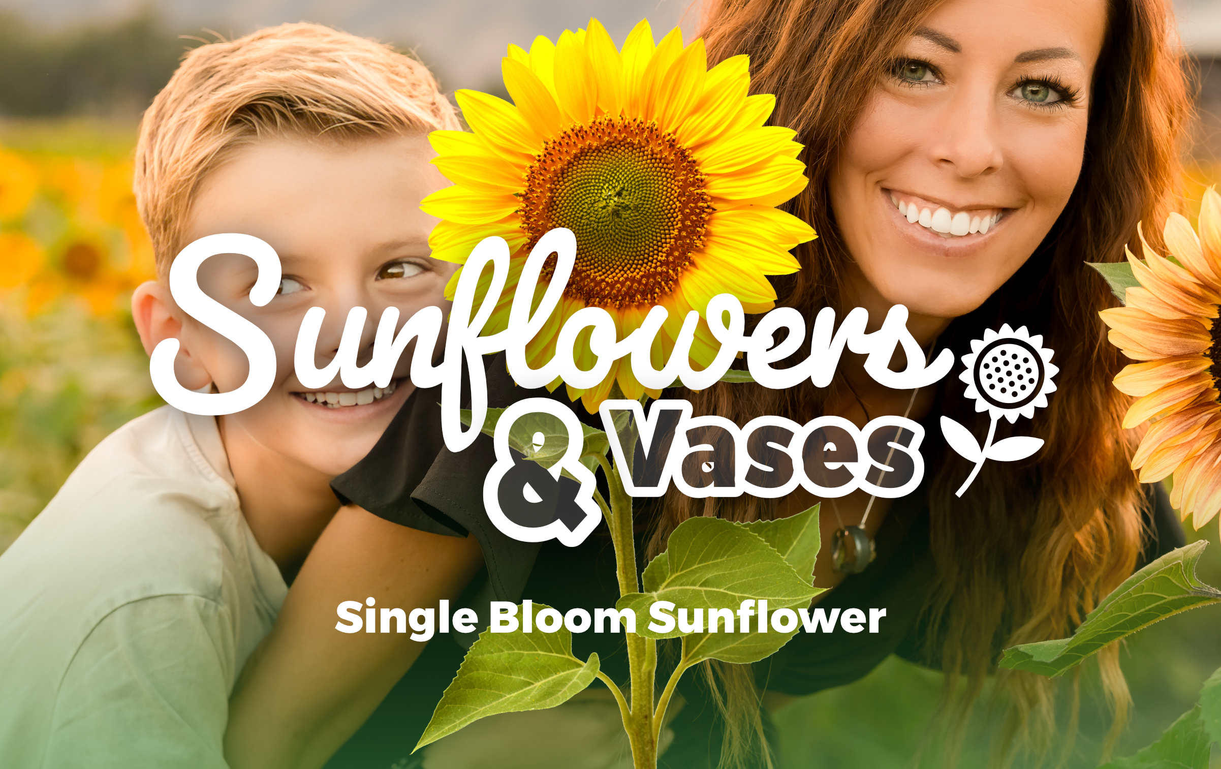 Single Bloom Sunflower Voucher