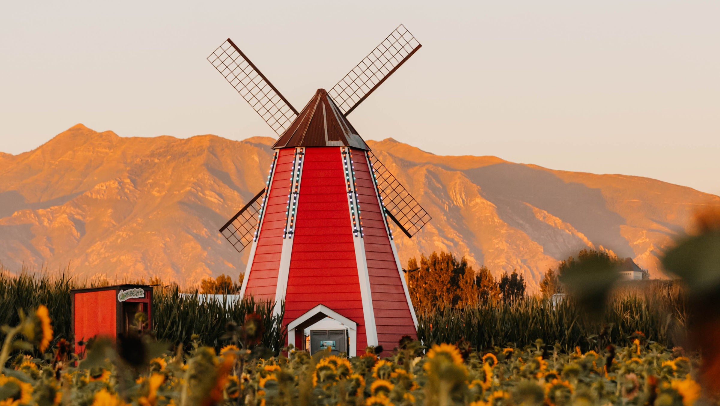 2026 Season Pass - Holiday Sale