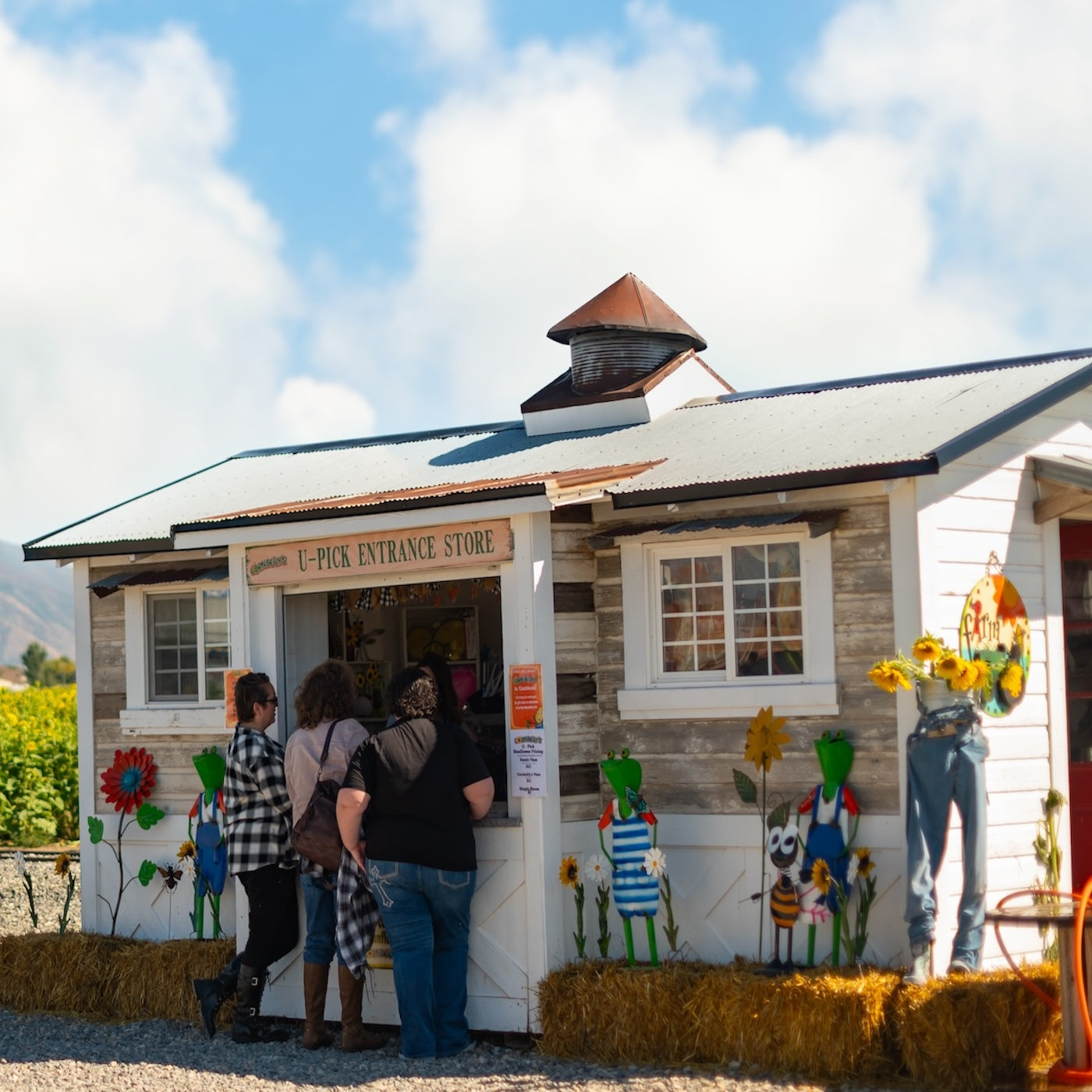 Our Gemstone Store is a rock-lover's paradise, selling everything from gemstone bags you can mine yourself at our water sluice, to polished rocks, geodes and much more.
