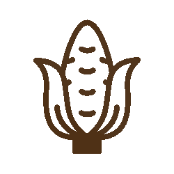 Our signature foods are actually one of the favorite parts of the Cornbelly's experience for many of our guests! Fresh-made foods include everything from roasted corn on the cob (the Mexican corn is a fan favorite!) and hand-dipped corndogs, to hot and fresh cider donuts and kettle corn. Be sure to come hungry when you visit us at Cornbelly's!