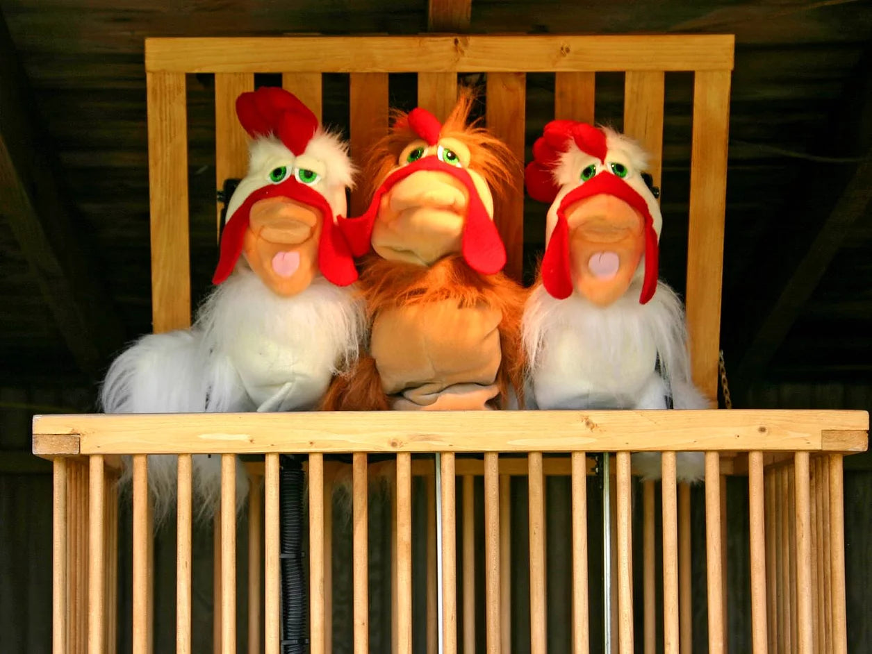 Singing Chickens