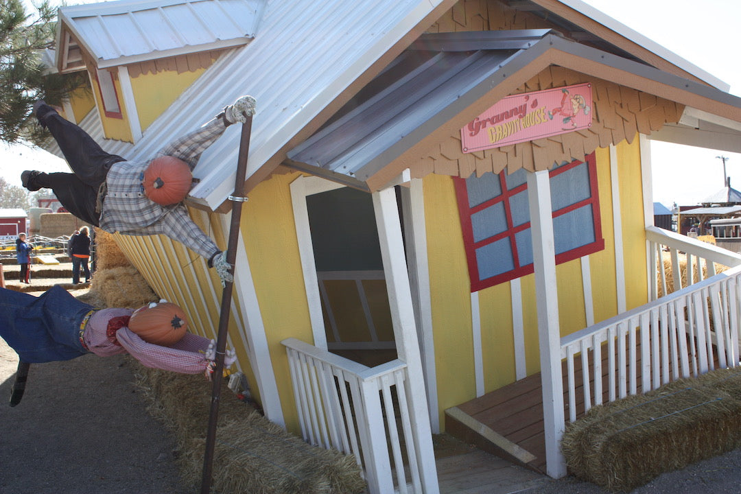 Granny's Gravity House