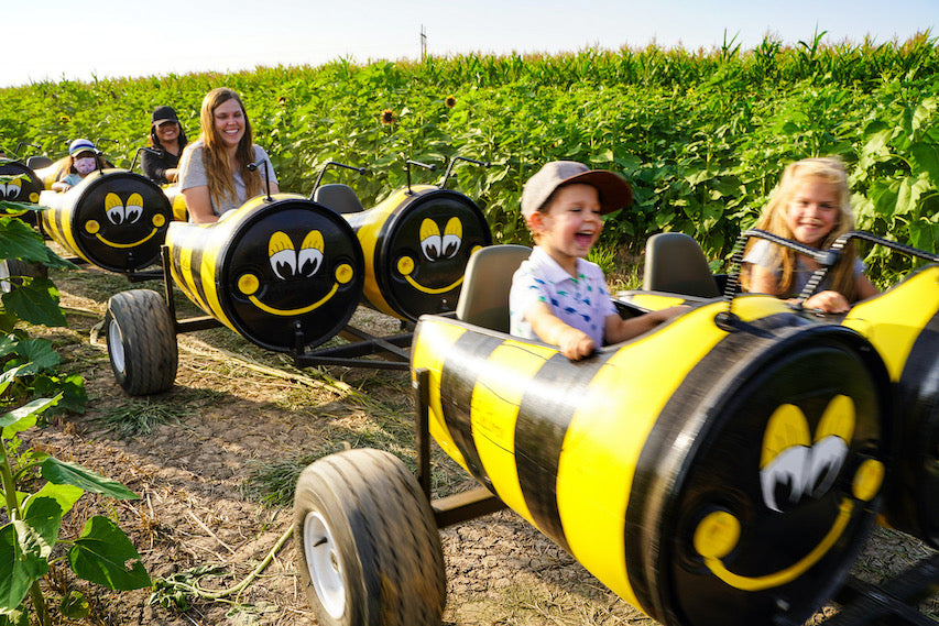 Bee Train