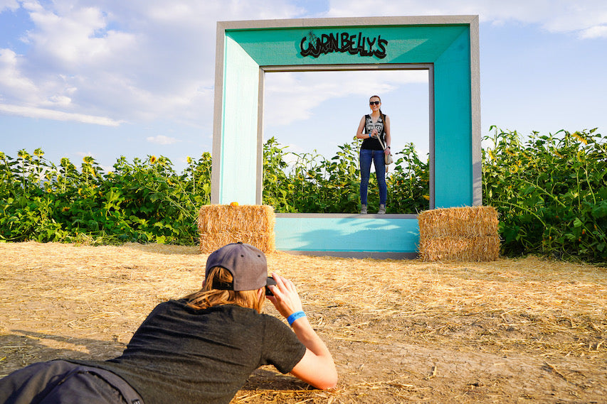 CornBelly's Sunflower Field