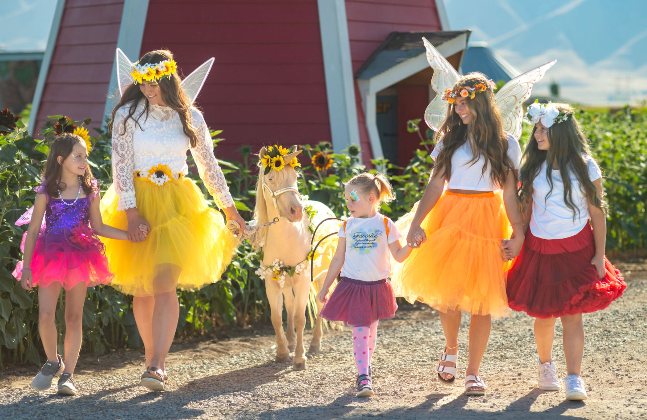 Fairy Fridays
