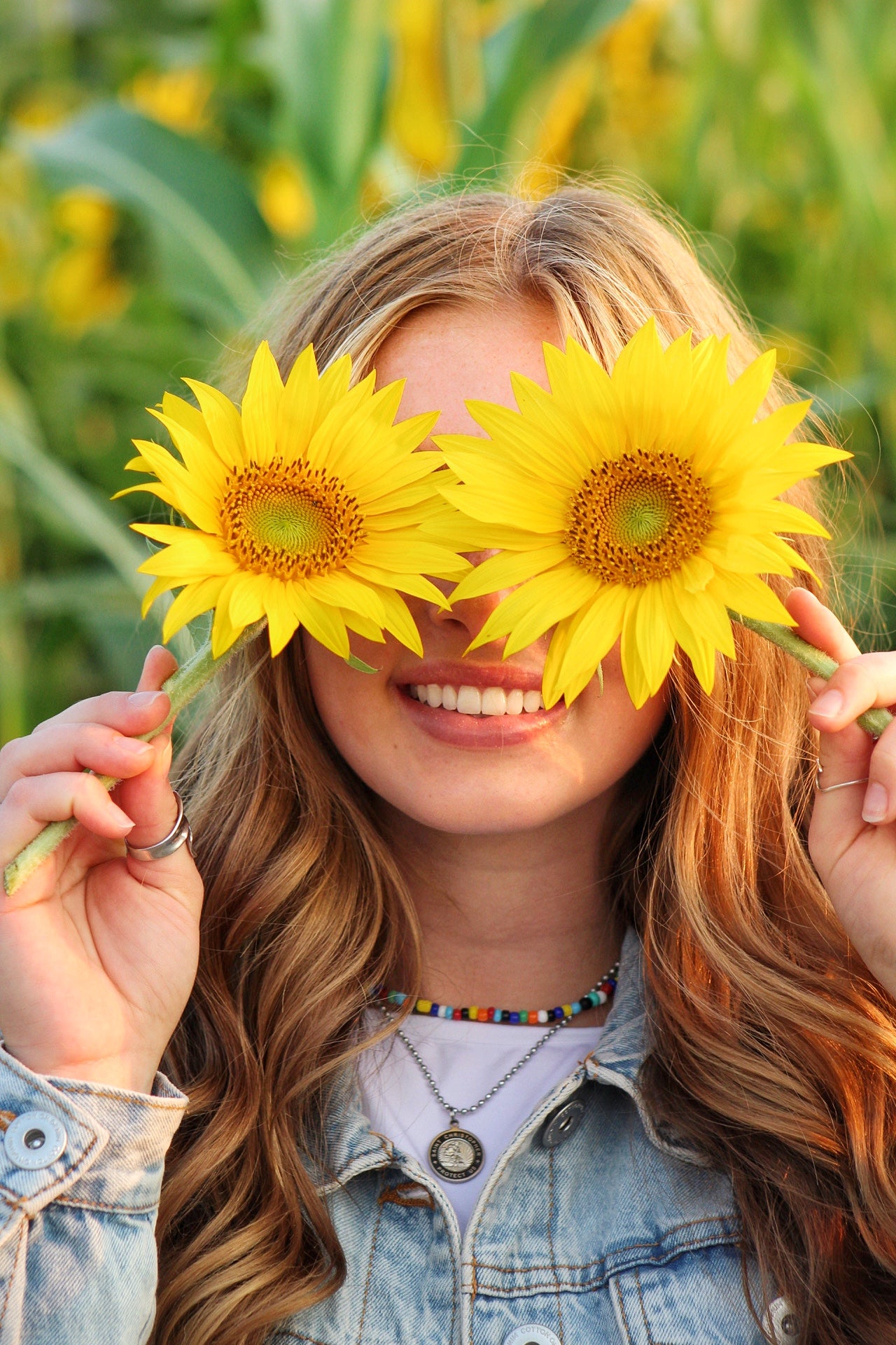 CornBelly's Sunflower Field 1