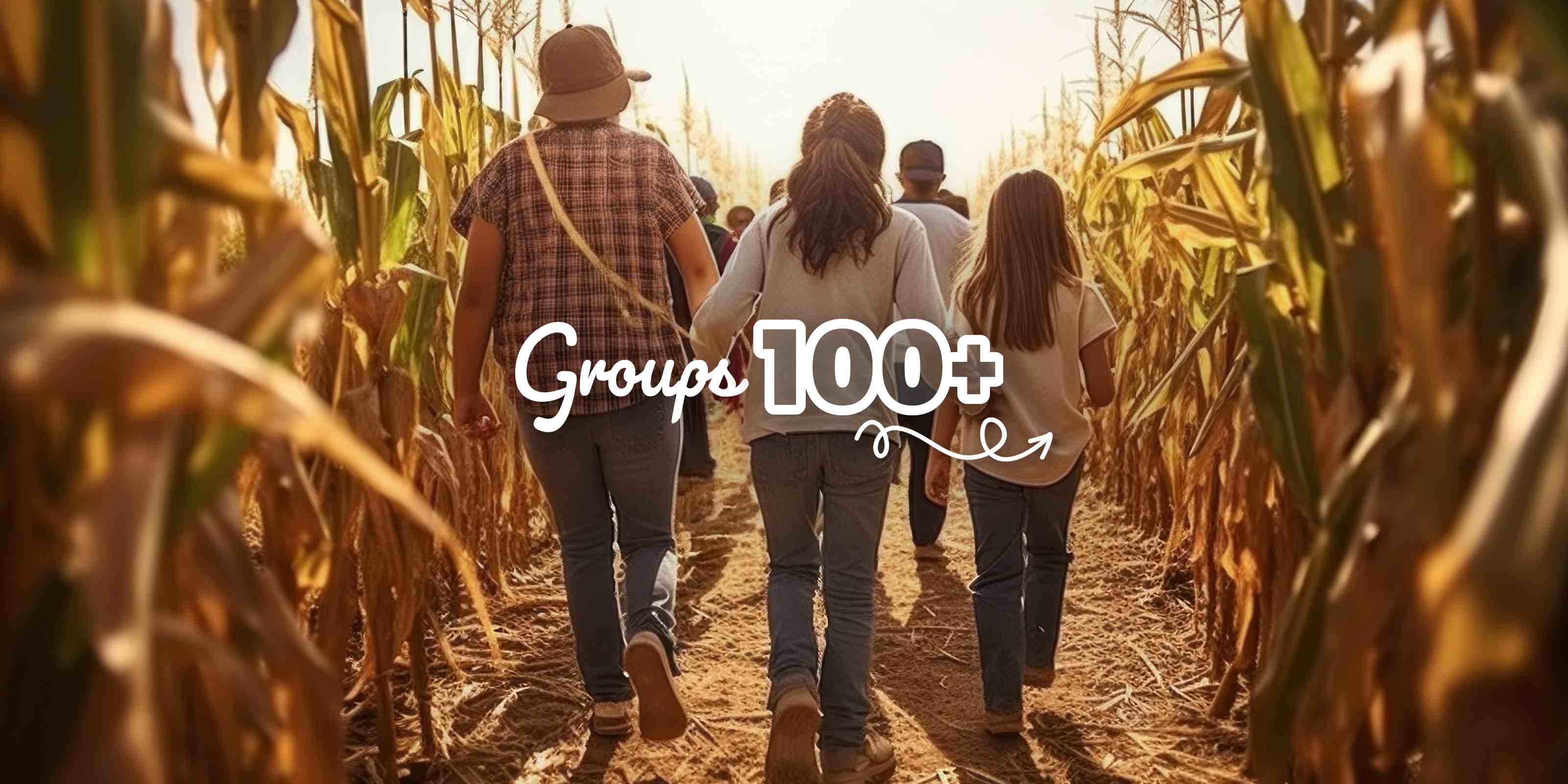 We love playing host to large groups for client appreciation nights, corporate family outings, etc. and offer $7 off admission for groups of 100+ in Lehi or $4 off in Spanish Fork. If you're interested in getting more info about booking a group of 100 or more or solidifying a reservation, fill out the inquiry form below. Upon receiving your booking request, you will receive a confirmation with more detailed information.