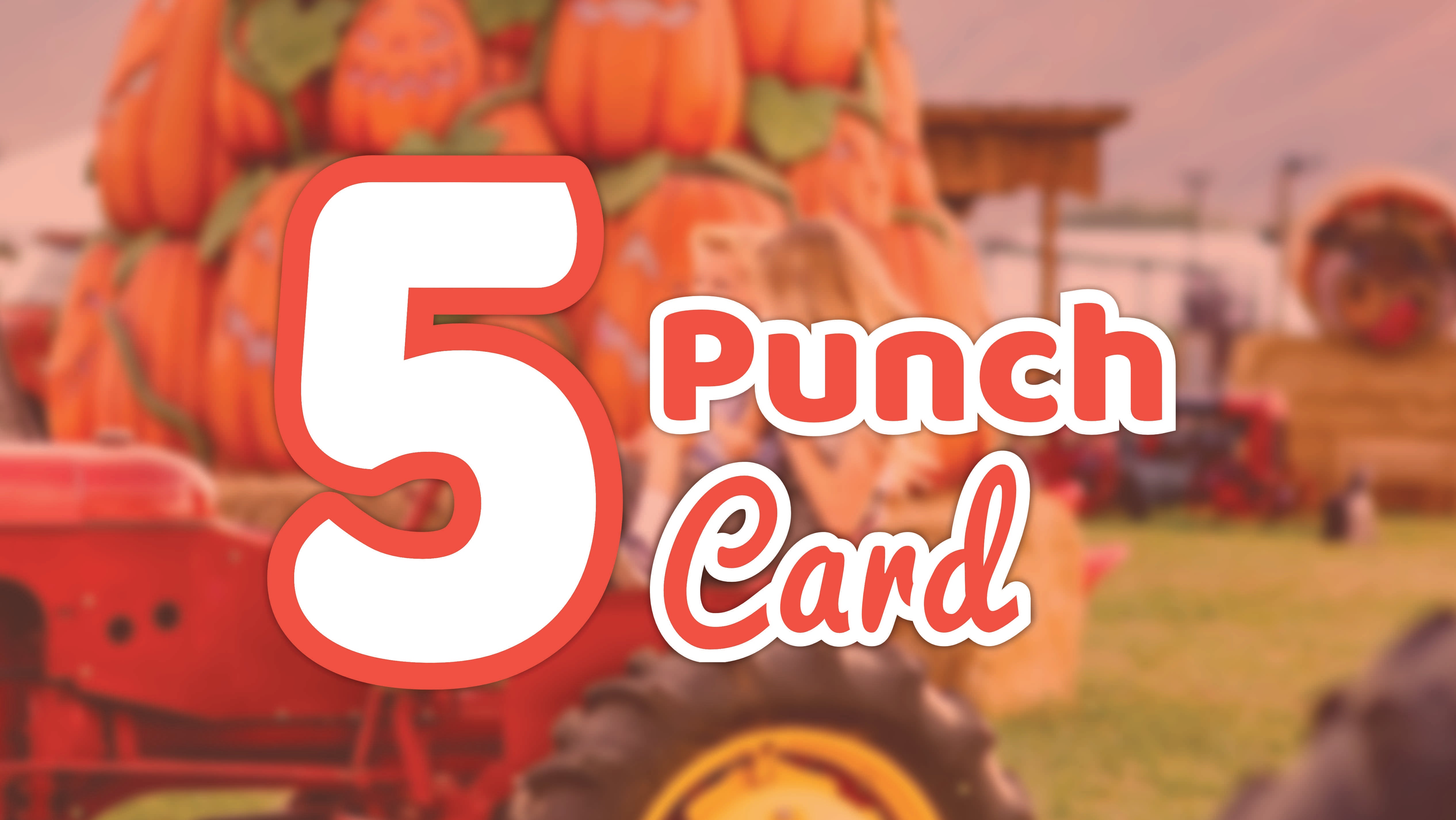 5 Punch Card
