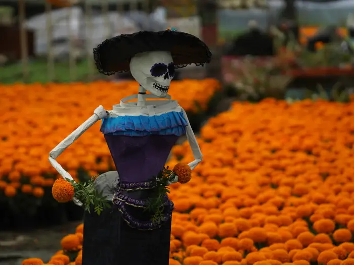 Day of the Dead