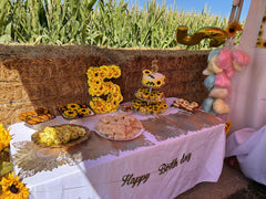 2026 Spanish Fork Party Tent Reservations
