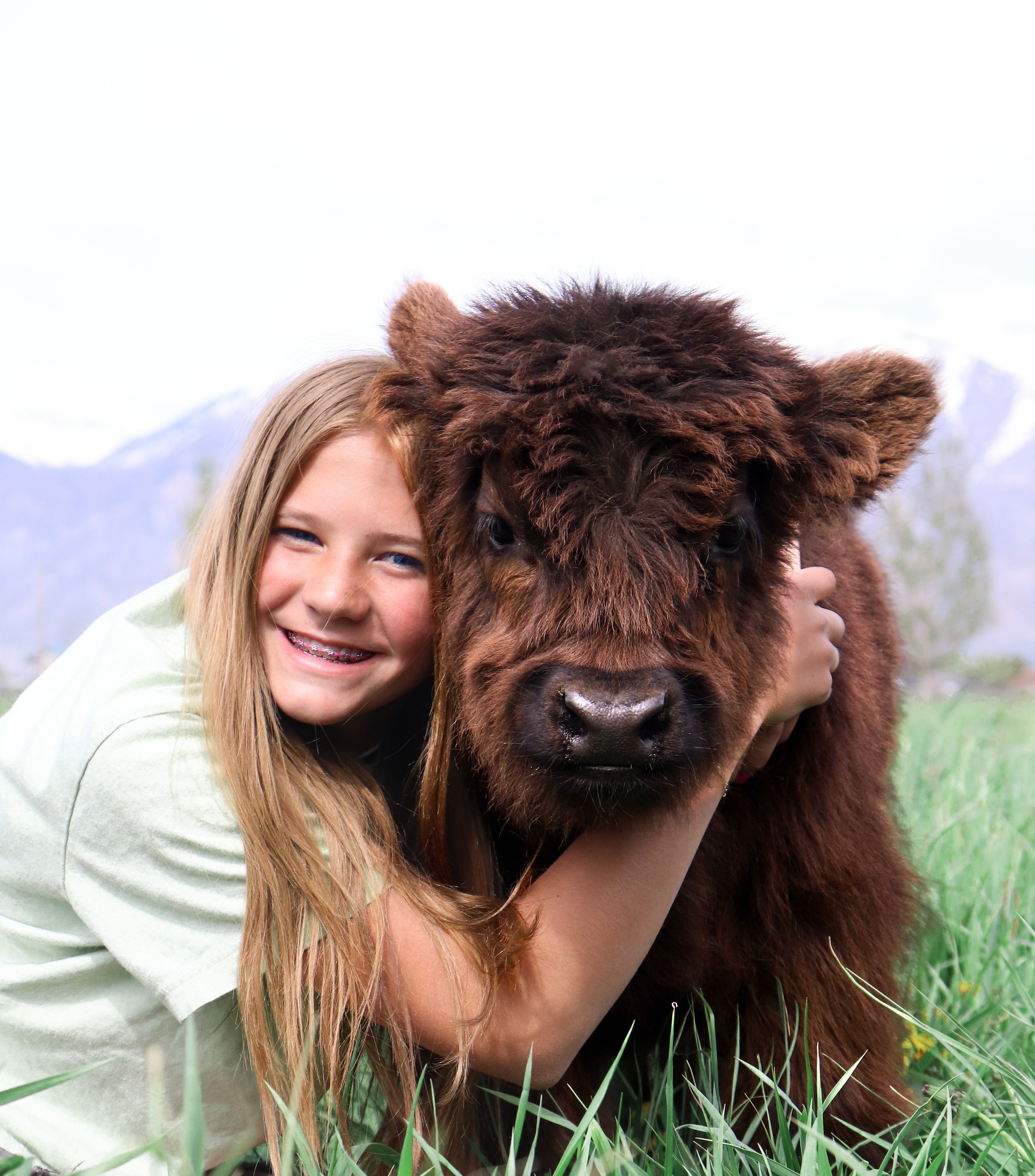 Cow Cuddling Days