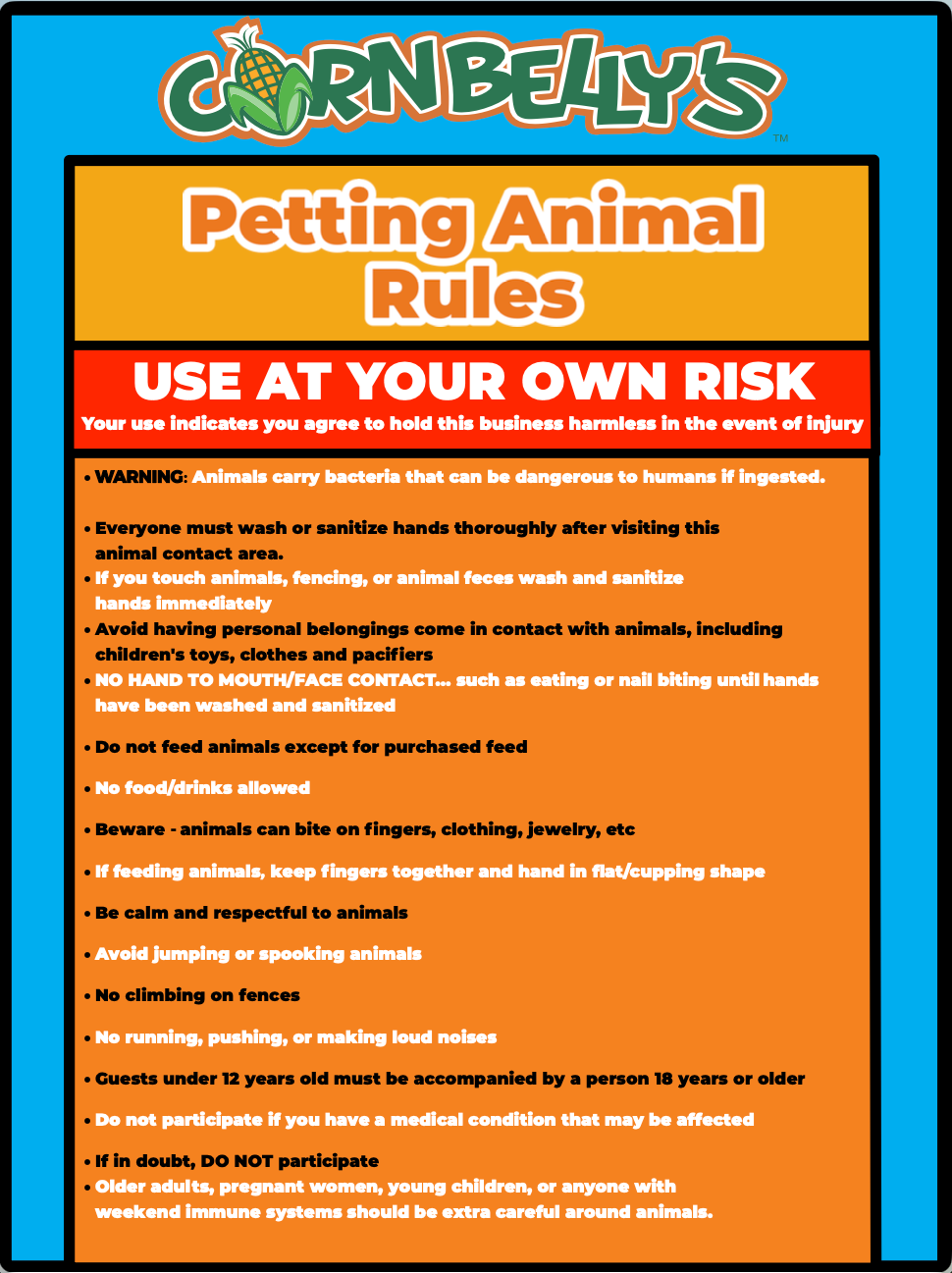 Interactive Animal Area