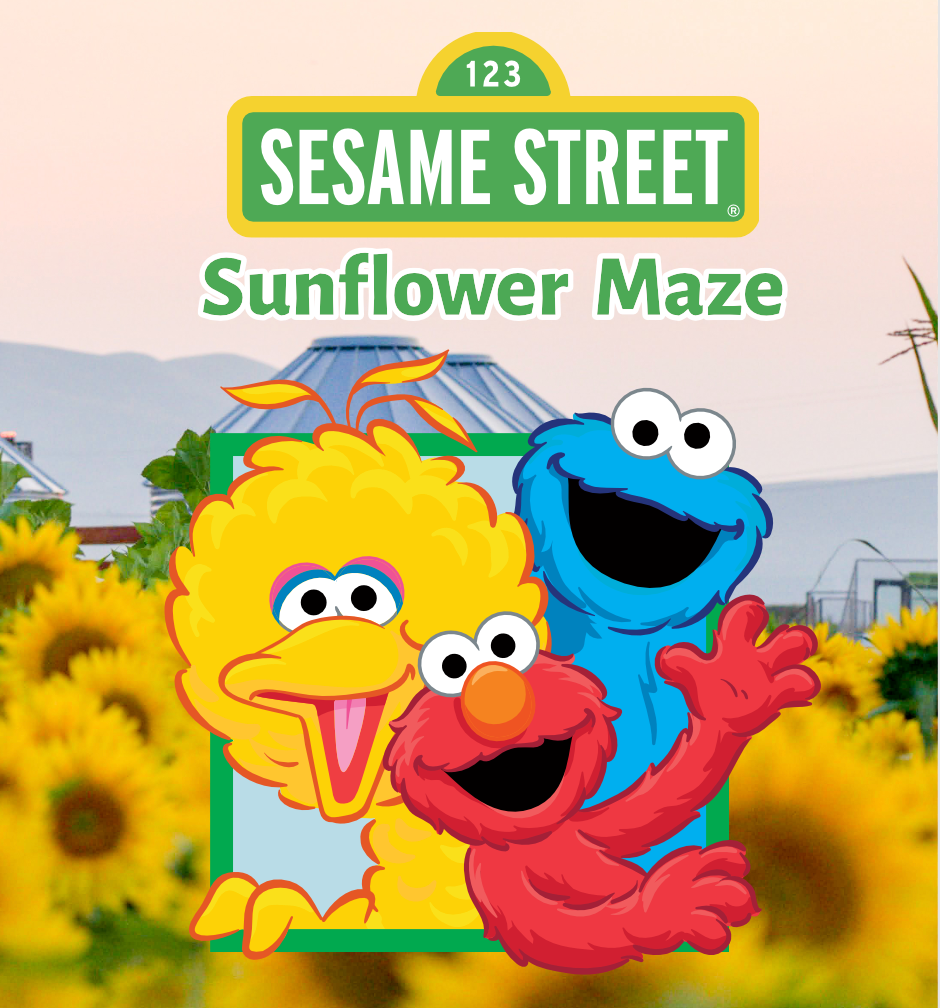 Sesame Street Sunflower Maze
