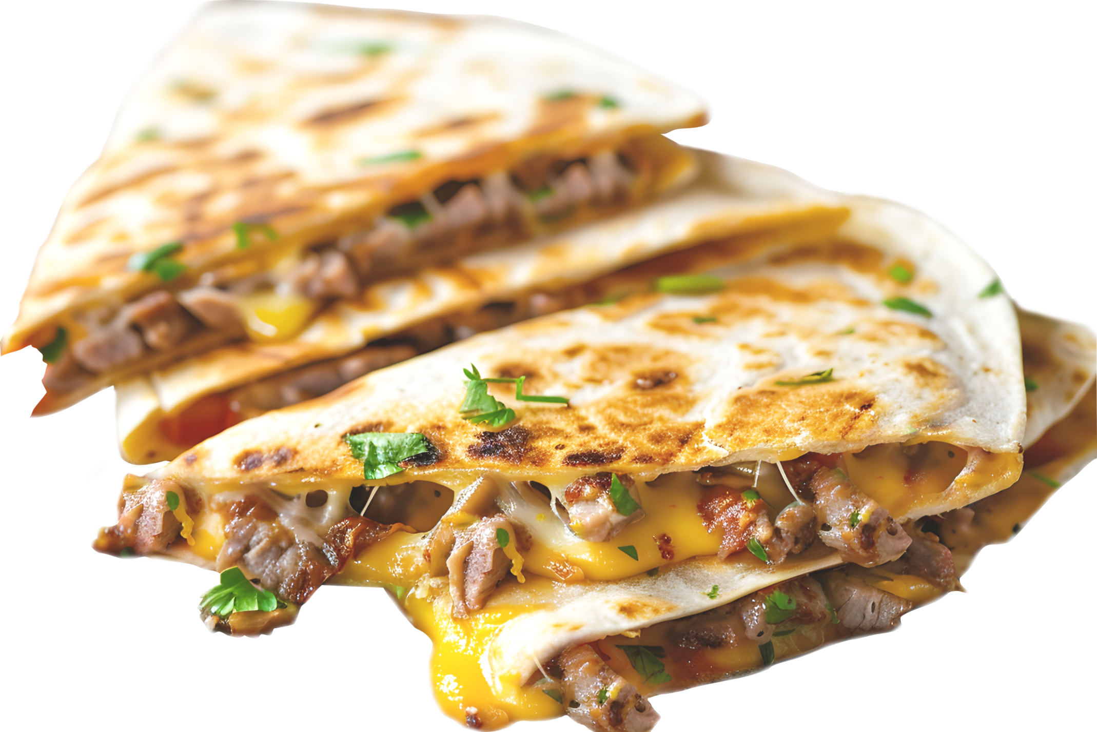 Steak Quesadilla