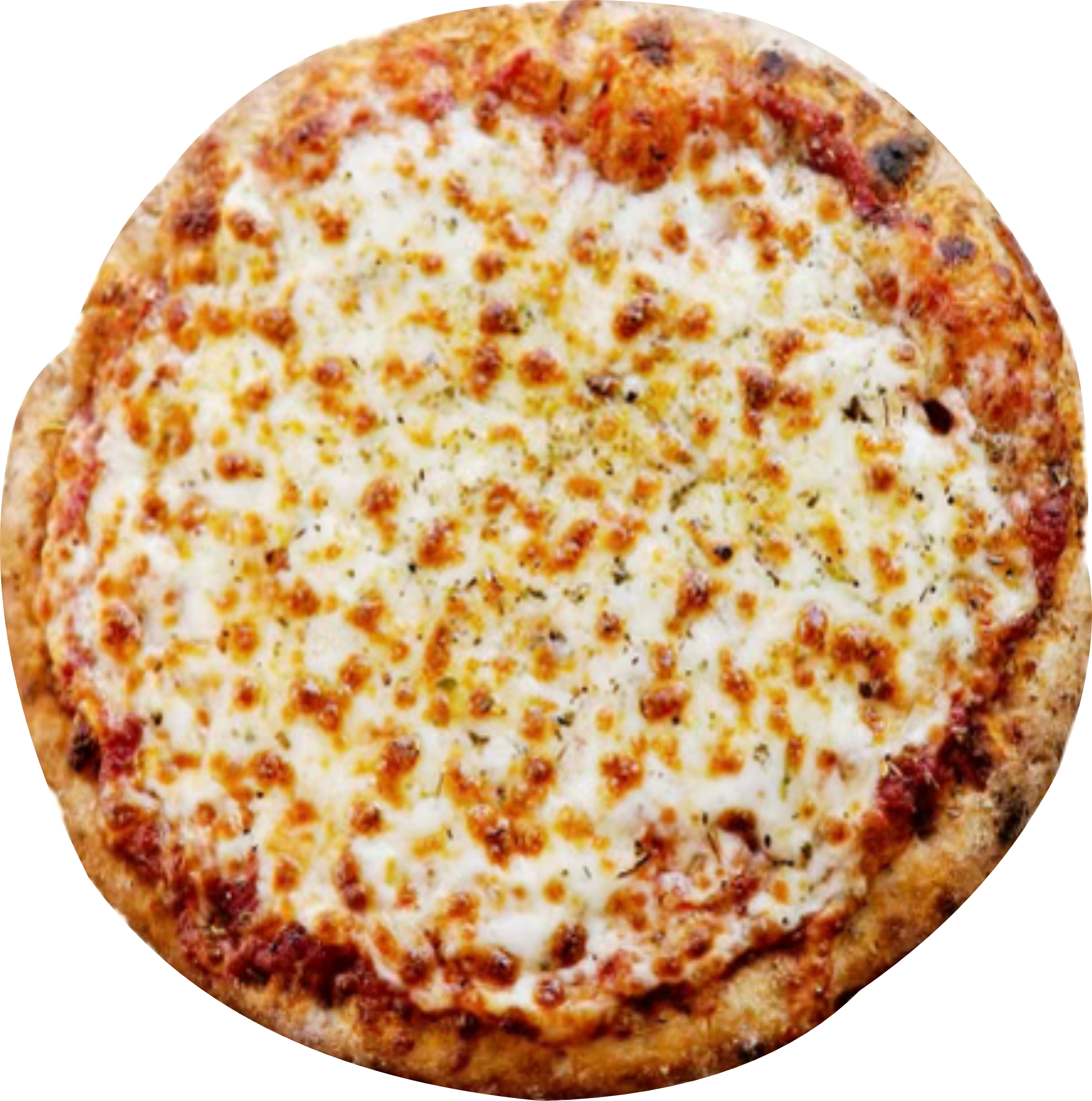 Cheese Pizza