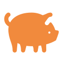 Pig Races