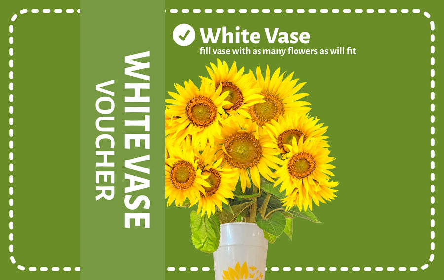 White Base Sunflower